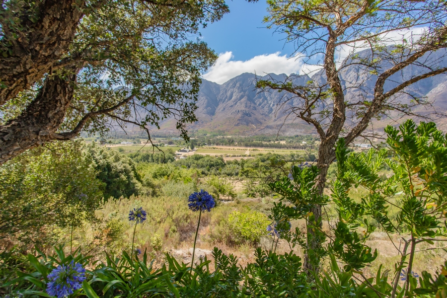 To Let 3 Bedroom Property for Rent in Franschhoek Rural Western Cape